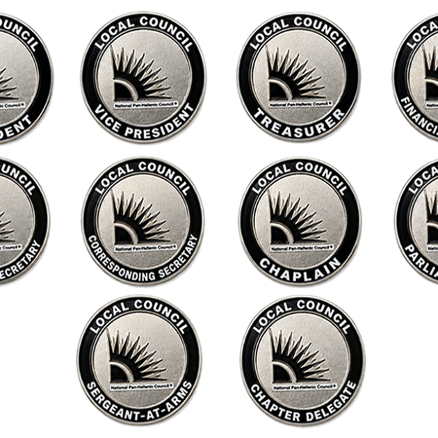 Local Council Officer Pin