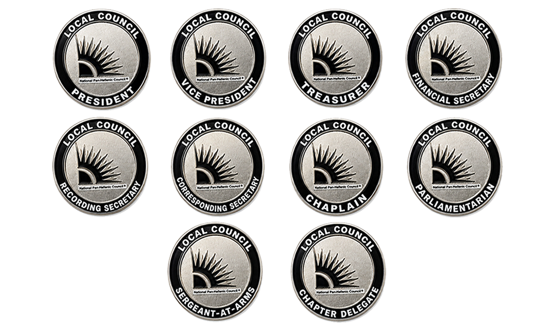 Local Council Officer Pin